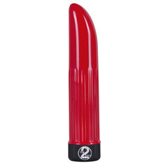 Mini Vibrator