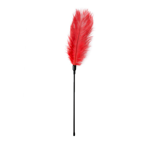 Fouet à plumes rouge