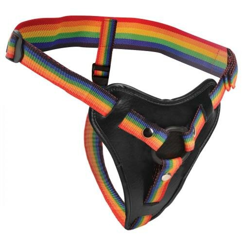 Take the Rainbow Universelles Strap-on-Gurtzeug