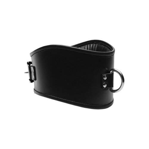 Padded Leather Locking Posture Collar