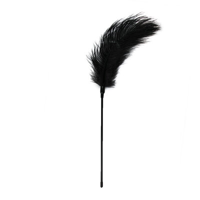 Fouet à plumes noir