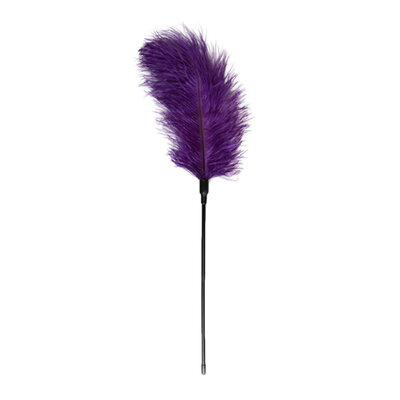 Fouet à plumes violet