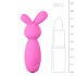 Vibrating Mini Bunny_