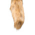 Fox Tail Plug_