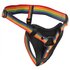 Take the Rainbow Harnais pour gode-ceinture universel_