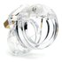 CB-X - Mini Me Chastity Cage - Clear_