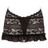 Little Lace Dress - Black_