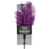 Purple Feather Tickler_