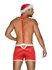 Mr Claus Sexy Christmas Costume For Men_